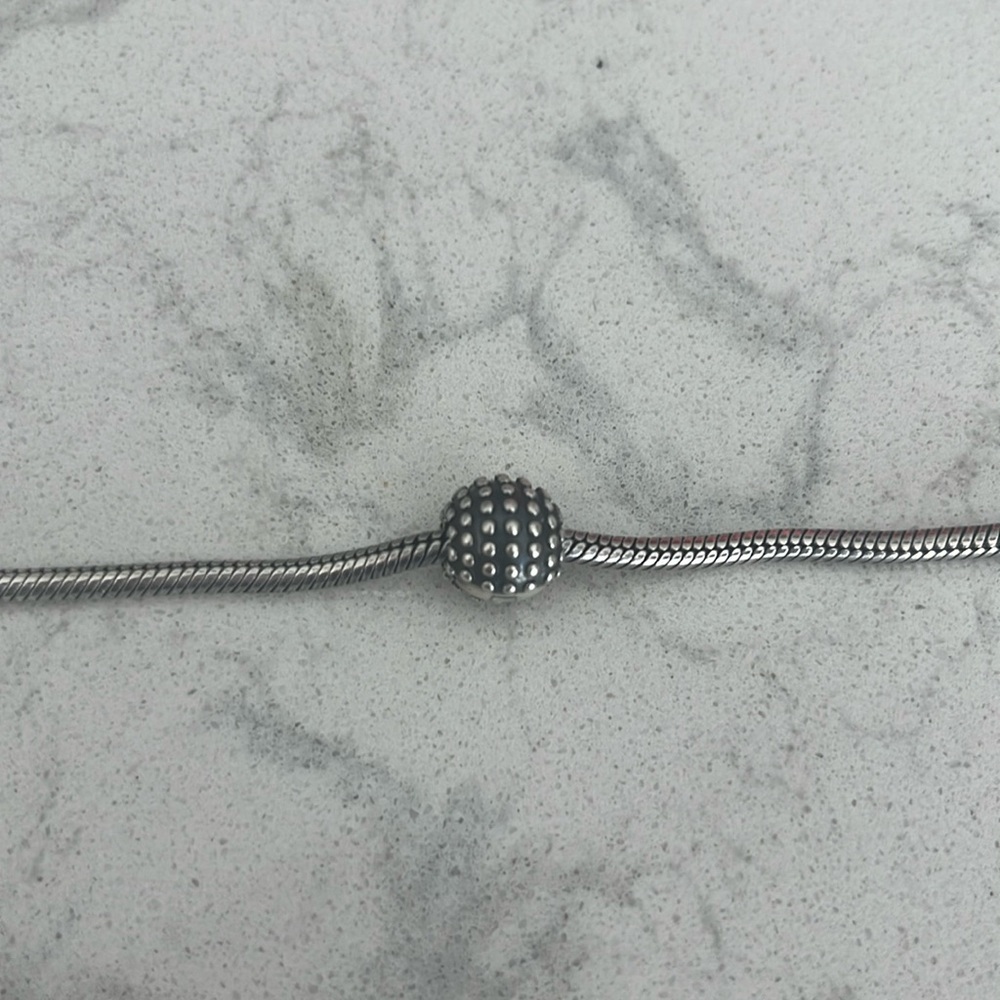 Pandora spacer charm